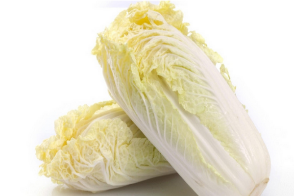 白菜小知识,白菜小知识的资料