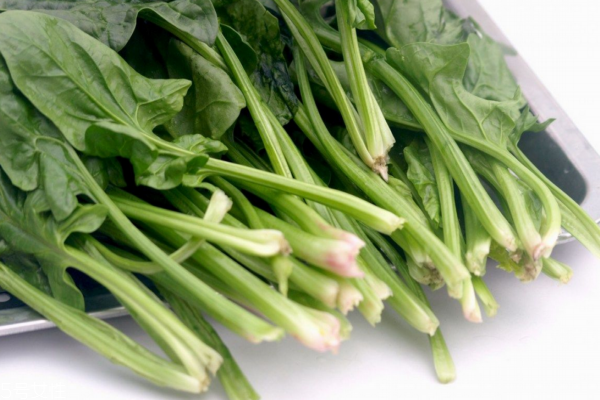 菠菜适宜人群,菠菜不适宜人群
