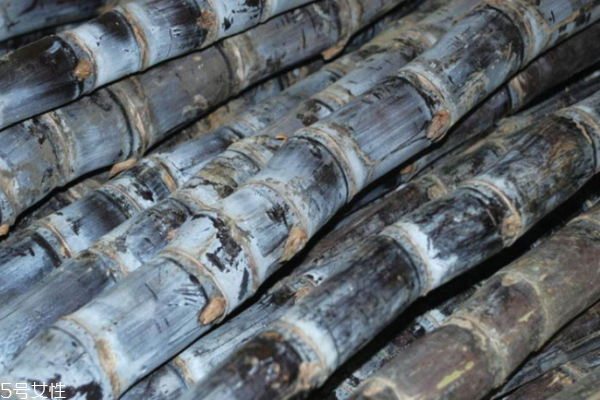 甘蔗小知识,甘蔗的知识