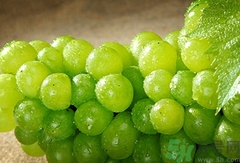 什么时候喝豆浆最好(什么豆浆有助于睡眠)