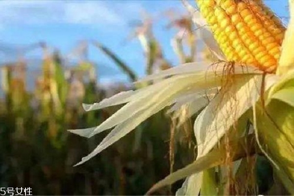 哪些食物会引起痛风,吃什么食物会引起痛风 哪些食物会引起痛风,吃什么食物会引起痛风