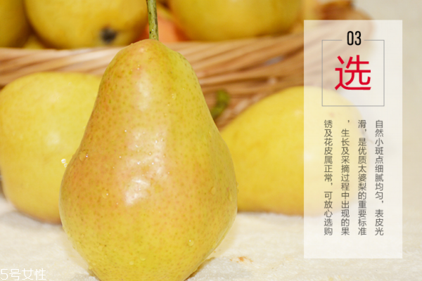 库尔勒香梨和雪梨的区别,香梨和雪梨的区别 库尔勒香梨和雪梨的区别,香梨和雪梨的区别