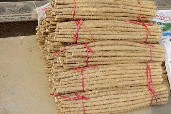 麻山药和铁棍山药的区别,铁棍麻山药和普通麻山药有什么区别