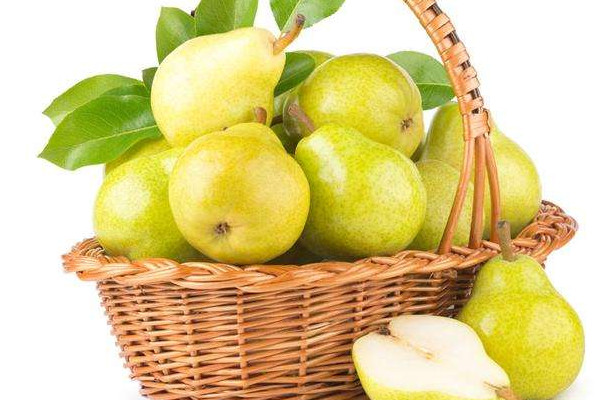 中国四大名梨有哪些,中国三大名梨