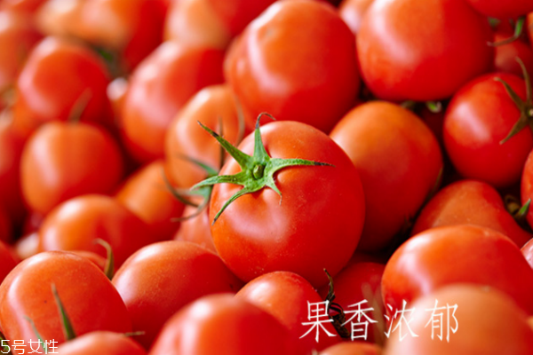 番茄的品种大全,番茄的品种有哪些 番茄的品种大全,番茄的品种有哪些