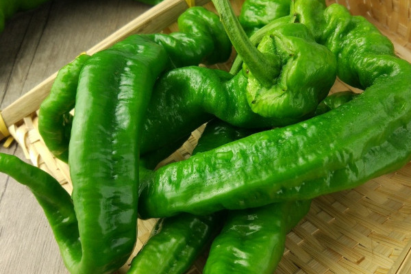 红辣椒和青辣椒的区别,青椒和青辣椒的区别