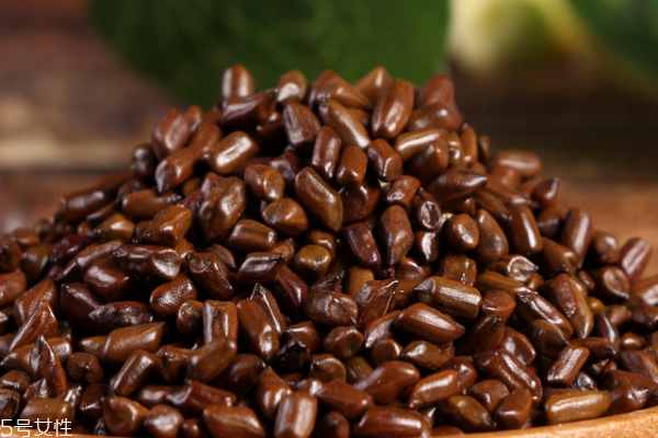 喝决明子拉肚子是怎么回事,喝决明子拉肚子怎么办