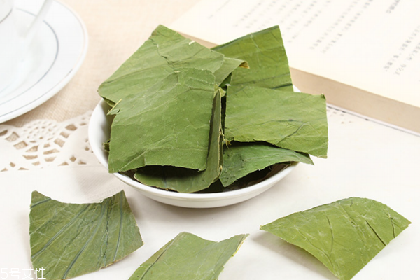 喝荷叶茶的禁忌及注意事项,荷叶茶的四大禁忌 喝荷叶茶的禁忌及注意事项,荷叶茶的四大禁忌