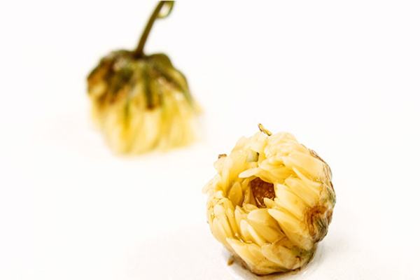 菊花茶的种类和功效,菊花茶的种类名称及图片