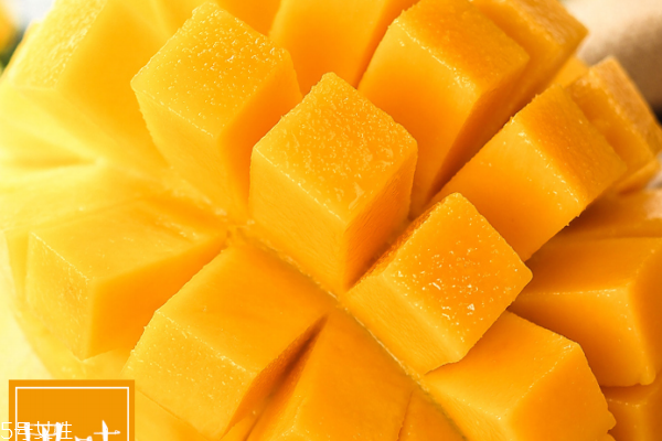 芒果几月份成熟上市,芒果什么时间上市