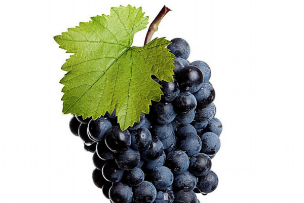 葡萄套袋专用袋子,葡萄套袋