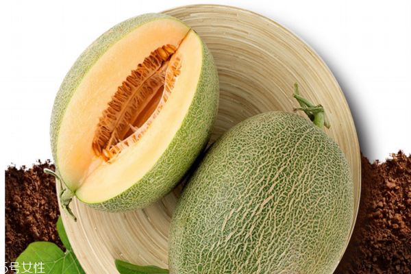 哈密瓜小知识,怎么介绍哈密瓜