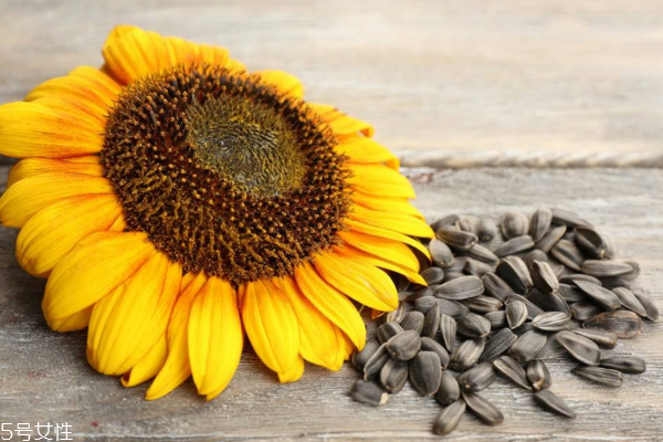 瓜子受潮了还能吃吗,瓜子回潮了还可以吃吗