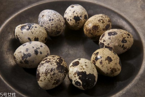 鹌鹑蛋小知识,什么是鹌鹑蛋