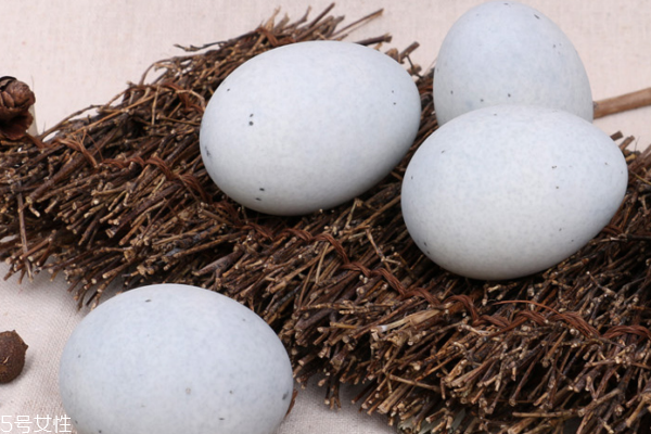 皮蛋小知识,皮蛋用的什么蛋