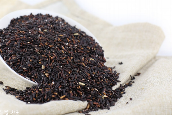 黑米小知识,黑米有什么用