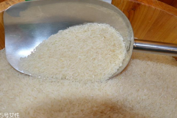 大米小知识,大米小知识视频