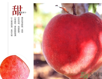 雪桃的营养(雪桃的营养价值)