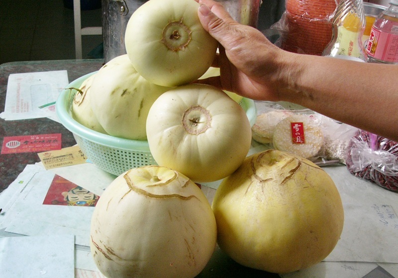 香瓜怎么挑,香瓜怎么挑选比较甜的 香瓜怎么挑,香瓜怎么挑选比较甜的