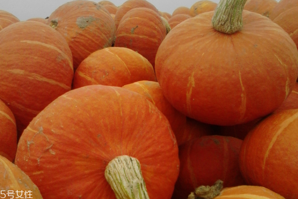 南瓜的成分含量表,南瓜的成分表