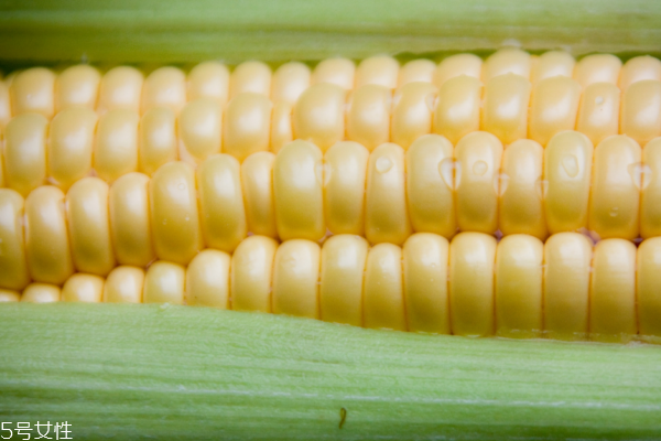 玉米小知识,玉米小知识收集