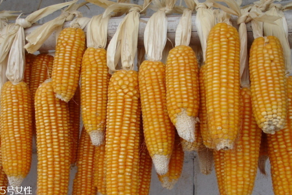 玉米小知识,玉米小知识收集