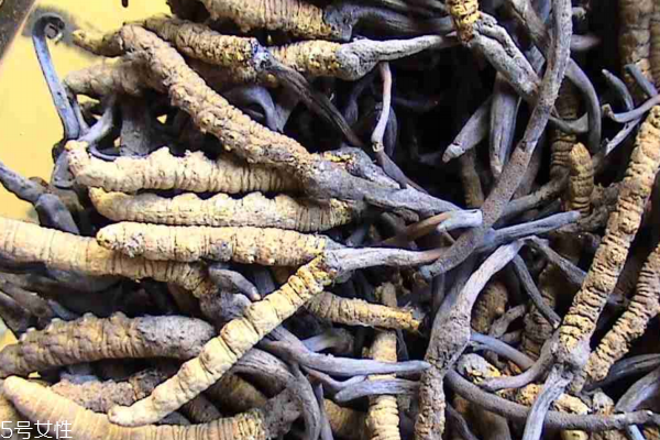 吃冬虫夏草要注意什么,冬虫夏草有什么禁忌