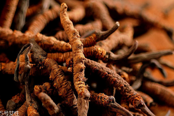 冬虫夏草保质期一般为多久?,冬虫夏草保质期最多能保持几年 冬虫夏草保质期一般为多久?,冬虫夏草保质期最多能保持几年