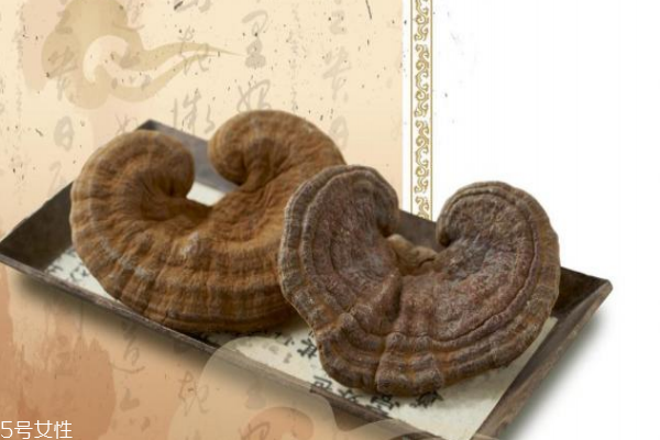 灵芝的功效和作用,灵芝的功效可以控制肿瘤吗