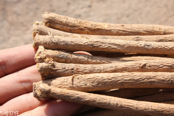 黄芪小知识,黄芪是怎样的 黄芪小知识,黄芪是怎样的