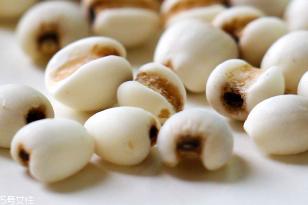 薏米炒熟好还是不炒好,薏米要炒熟吗