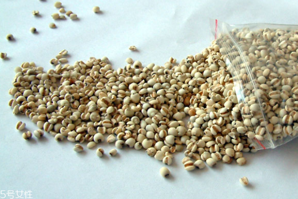薏仁能美白吗,薏仁能美白吗 知乎