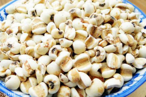 薏仁的功效和作用,薏仁的功效和作用的功能和主治