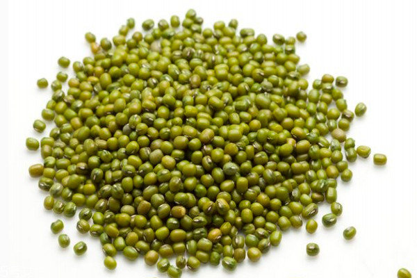 绿豆小知识,绿豆小知识大世界