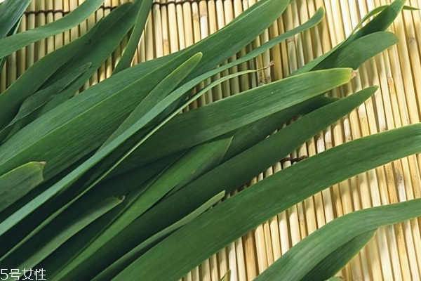 吃韭菜的禁忌有哪些,韭菜的禁忌食物 吃韭菜的禁忌有哪些,韭菜的禁忌食物