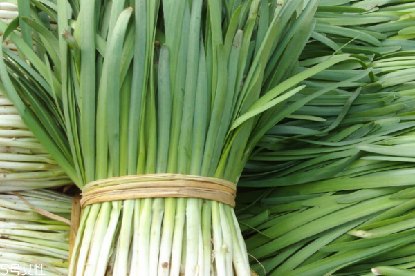 韭菜的适用人群,韭菜不适宜人群