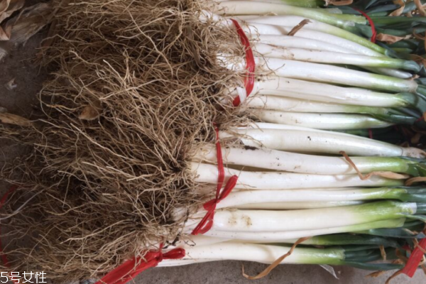 大葱怎么保存时间最长,大葱怎么保存才能保持新鲜