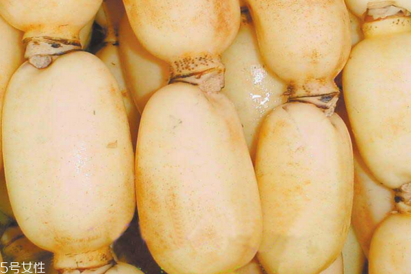 莲藕小知识,莲藕小知识大世界