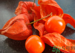 红姑娘泡水喝的功效和作用(红姑娘泡水喝的功效和作用) 红姑娘泡水喝的功效和作用(红姑娘泡水喝的功效和作用)