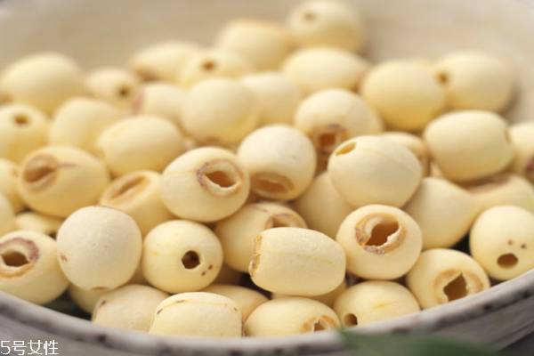 莲子的药用价值和功效,中草药莲子心的功效和作用