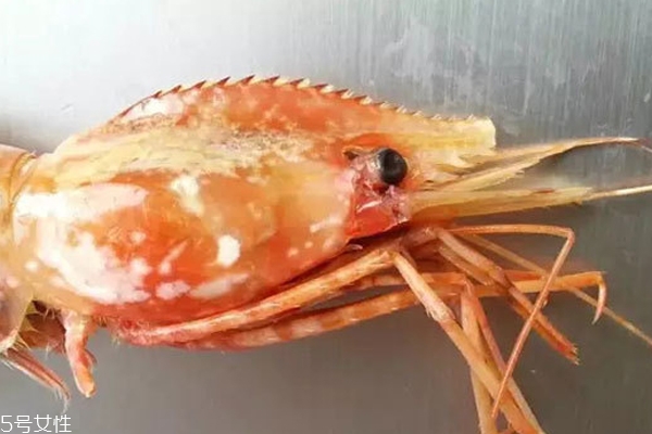 牡丹虾是哪里的,牡丹虾为什么叫牡丹虾