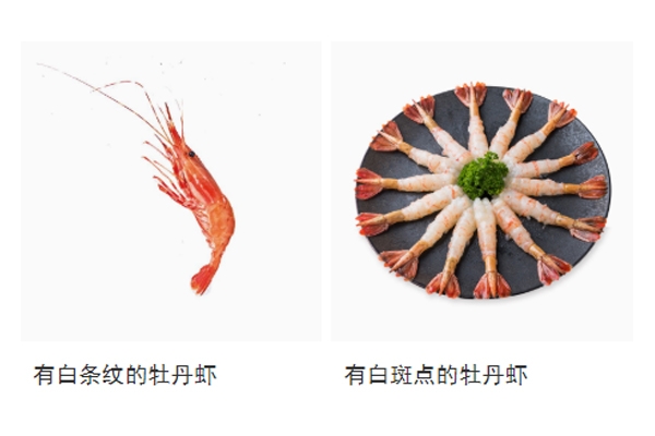 牡丹虾多少钱一只,牡丹虾多少钱一斤