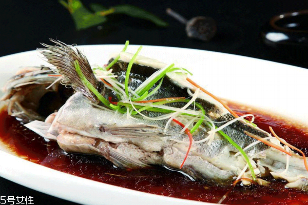 石斑鱼的营养价值及功效和作用,龙趸石斑鱼的营养价值