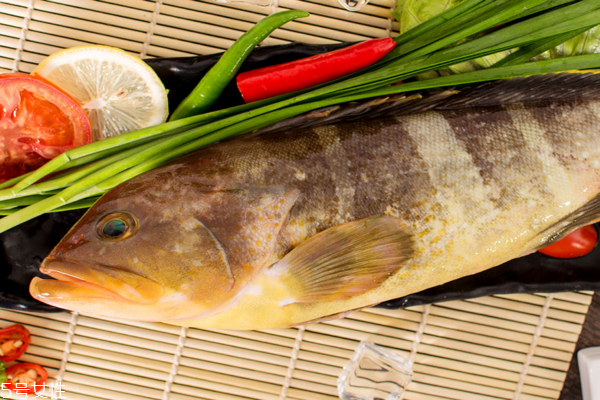 龙胆石斑鱼是发物吗,石斑鱼是发物吗做了手术能吃吗