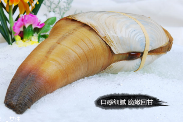 象拔蚌的吃法,象拔蚌吃什么 象拔蚌的吃法,象拔蚌吃什么