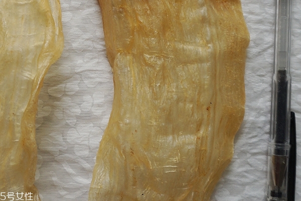 鱼胶怎么泡才好,鱼胶泡到什么样子就可以