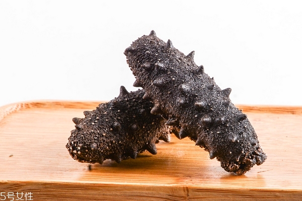 海参知识,海参科普小知识 海参知识,海参科普小知识