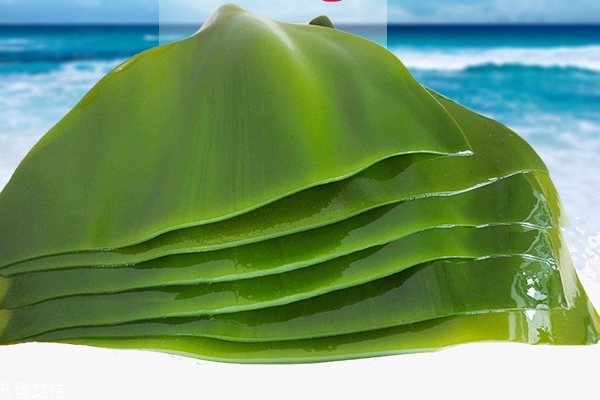 海带汤为什么是绿色的,海带汤是绿色的正常吗