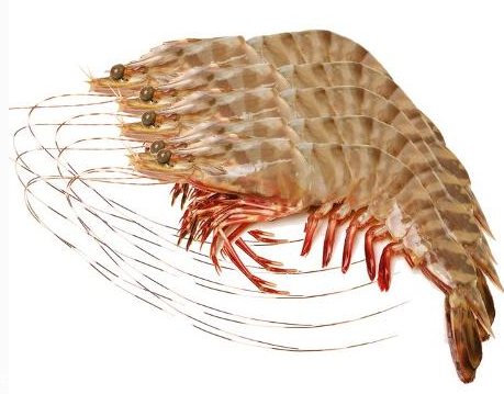 儿童常吃基围虾的好处,宝宝吃基围虾的好处