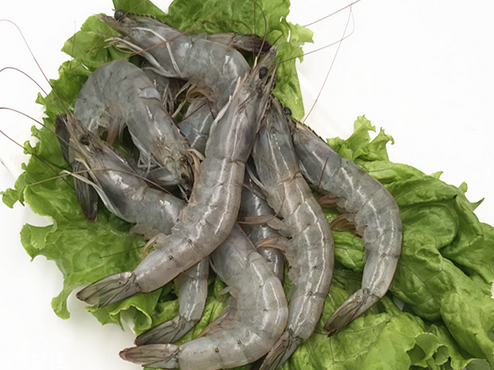 虾的哪些部位不能吃虾头能不能吃,虾的哪些部位不能吃